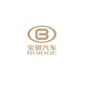 这台纯电动汽车LOGO里带B，但并不是比亚迪，很多人都不认识