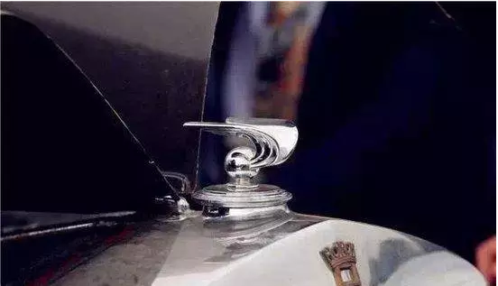 奇葩车标亮瞎你的眼  你肯定没见过！