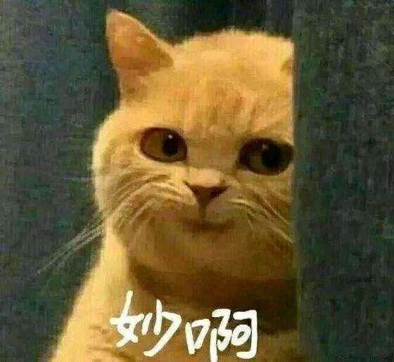 劳斯莱斯车标的伸缩功能，不仅仅是为了防丢设计的···